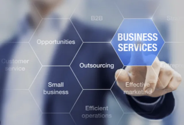 Professional and Technical Services